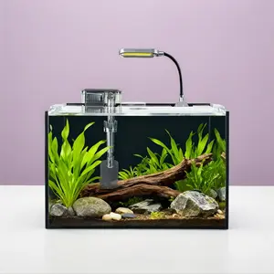 Craftsbooys 2.8 GAL Nano Fish Tank with Filter LED Light Aquascape Starter Aquarium Set 30x18x20cm 10L Super Clear Glass Beginner Friendly Complete Kit