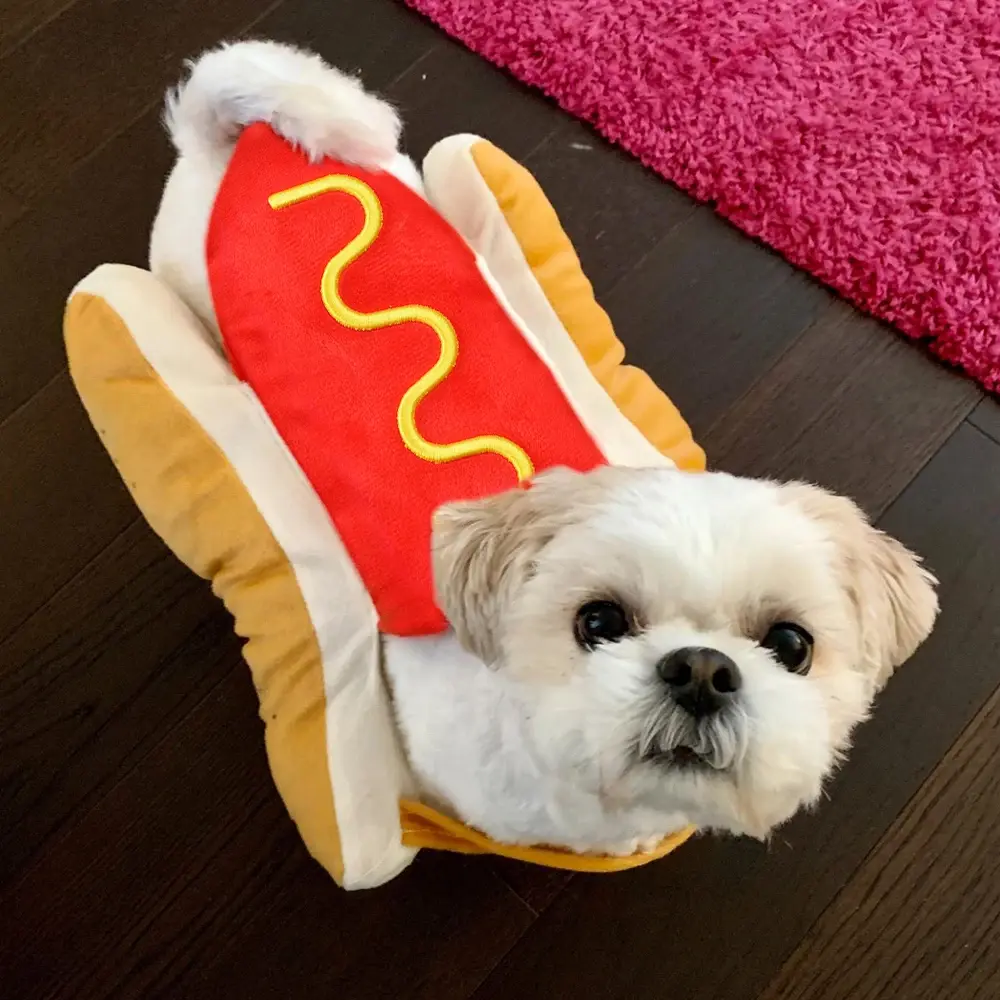 Holiday Pet Costume for Dogs & Cats, Adjustable Cute Outfit for Small Pets