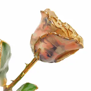 24K Gold Forever Rose - Soldier Pink