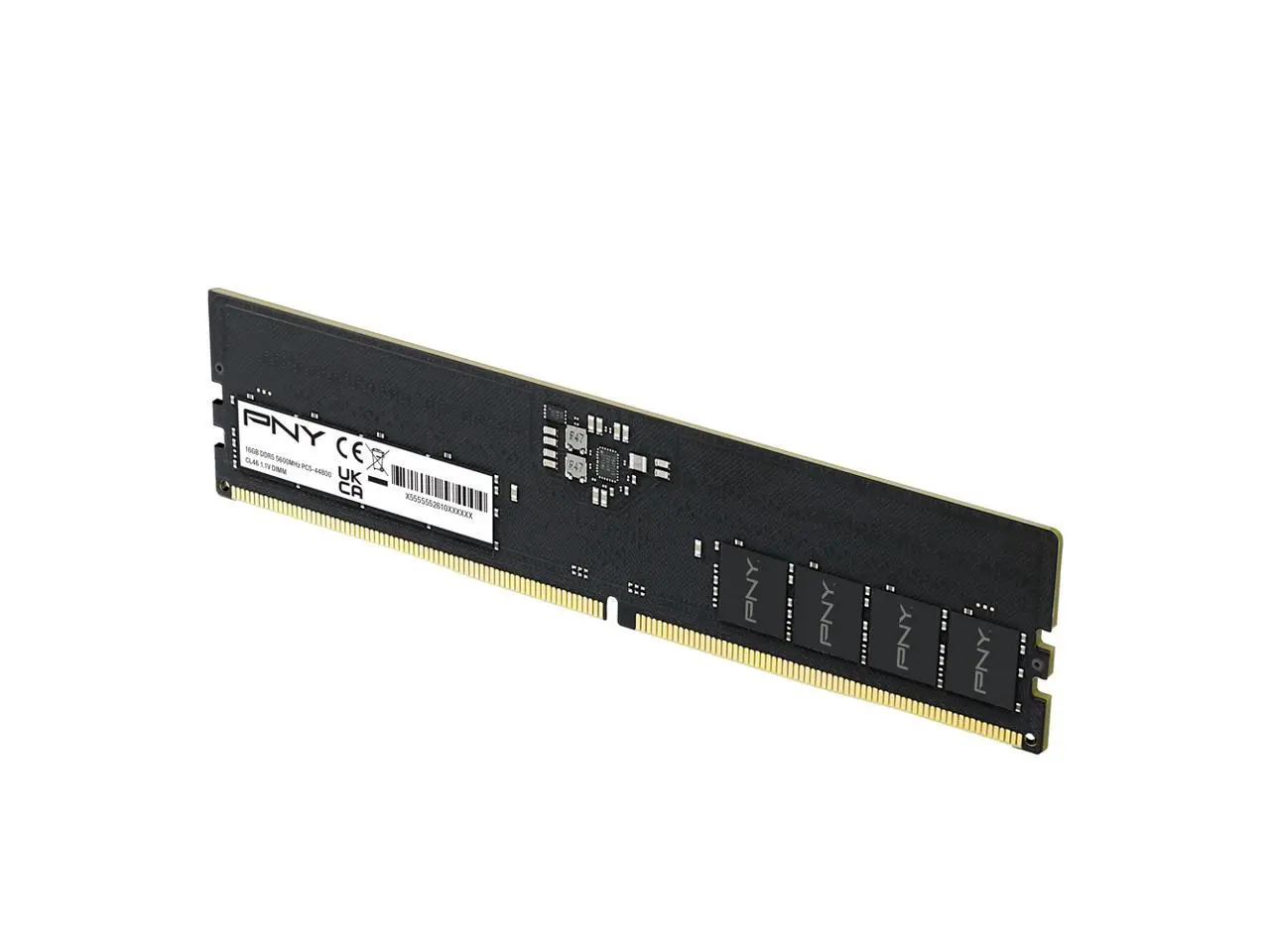 PNY Performance 16GB DDR5 5600 (PC5 44800) Desktop Memory Model MD16GSD5560046-TB PNY Performance 16GB DDR5 5600 (PC5 44800) Desktop Memory Model MD16GSD5560046-TB