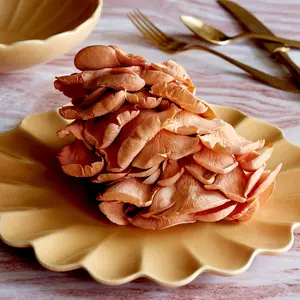 Dhalia Stoneware Salad Plate, Set of 4 (Camel)