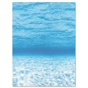 212 MAIN Under the Sea Acid-Free Fadeless Long-Lasting Bulletin Board Paper, 48x50in Single Roll, Office Stationery for Office, Table Skirting, Party Decoration