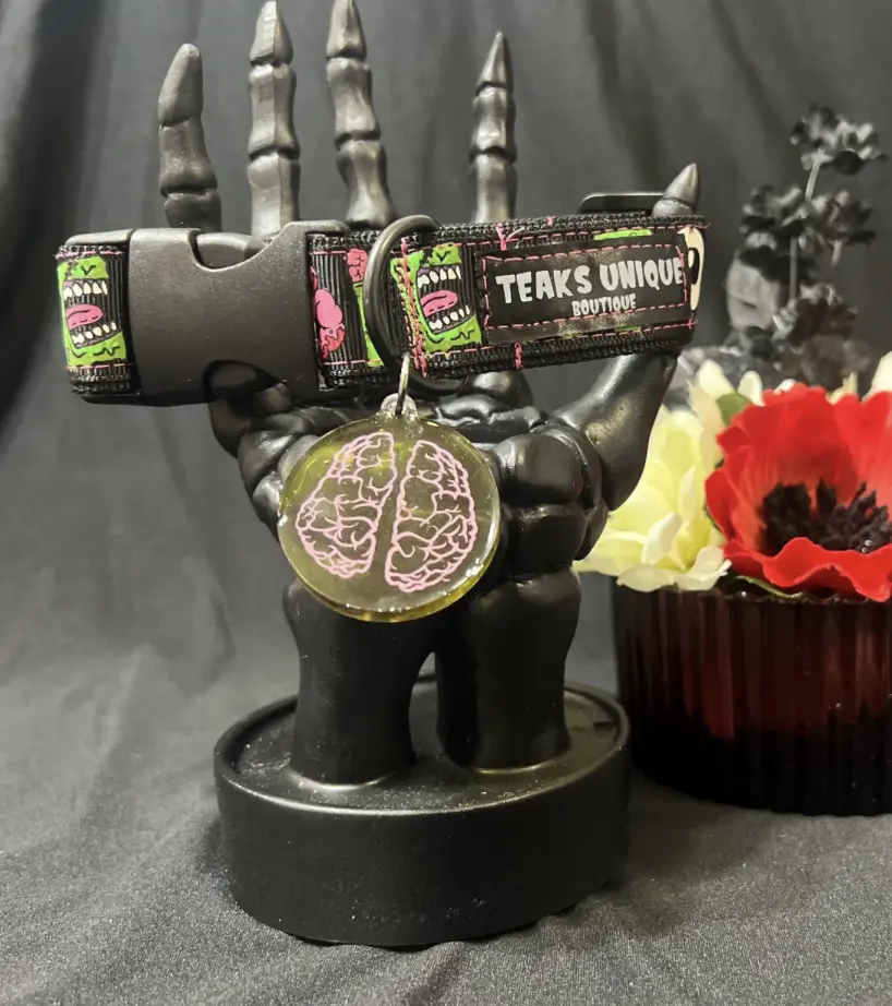 Handmade Horror Zombie brains Dog Collar 1 inch Thick Ribbon Durable Nylon Webbing All Sizes Perfect Fit for Your Dog Unique Accessory