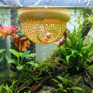 Betta Fish Hammock & Floating Feeder Ring, Safe Eco-Friendly Aquarium Hiding Cave, Enhances Aquatic Environment, Ideal for Fish Tanks, Aquarium Decor