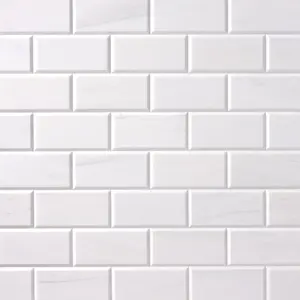 Bianco Dolomite Marble 3x6 Beveled Polished/Honed Subway Tile Sample