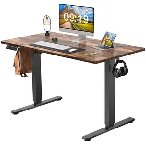 Electric Height Adjustable Standing Desk, 48'' x 24'' Stand up Desk Modern Adjustable Desk Sit to Stand Desk Computer Desk, Ergonomic Computer Workstation with White Top & White Frame