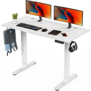 Electric Standing Desk, 48 x 24in Adjustable Height Electric Stand up Desk Standing Computer Desk Home Office Desk Ergonomic Workstation with 3 Memory Controller, White