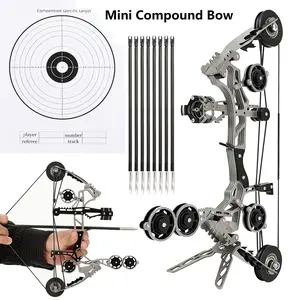 Sport Partner 10.9-inch Stainless Steel Mini Compound Bow and Arrow Set for Beginners Archery Practice Fun Holiday Gift Collectible Toy composite bow set