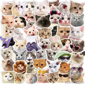 ( Free random 5 sticker) Cute funny meme Cat Sticker