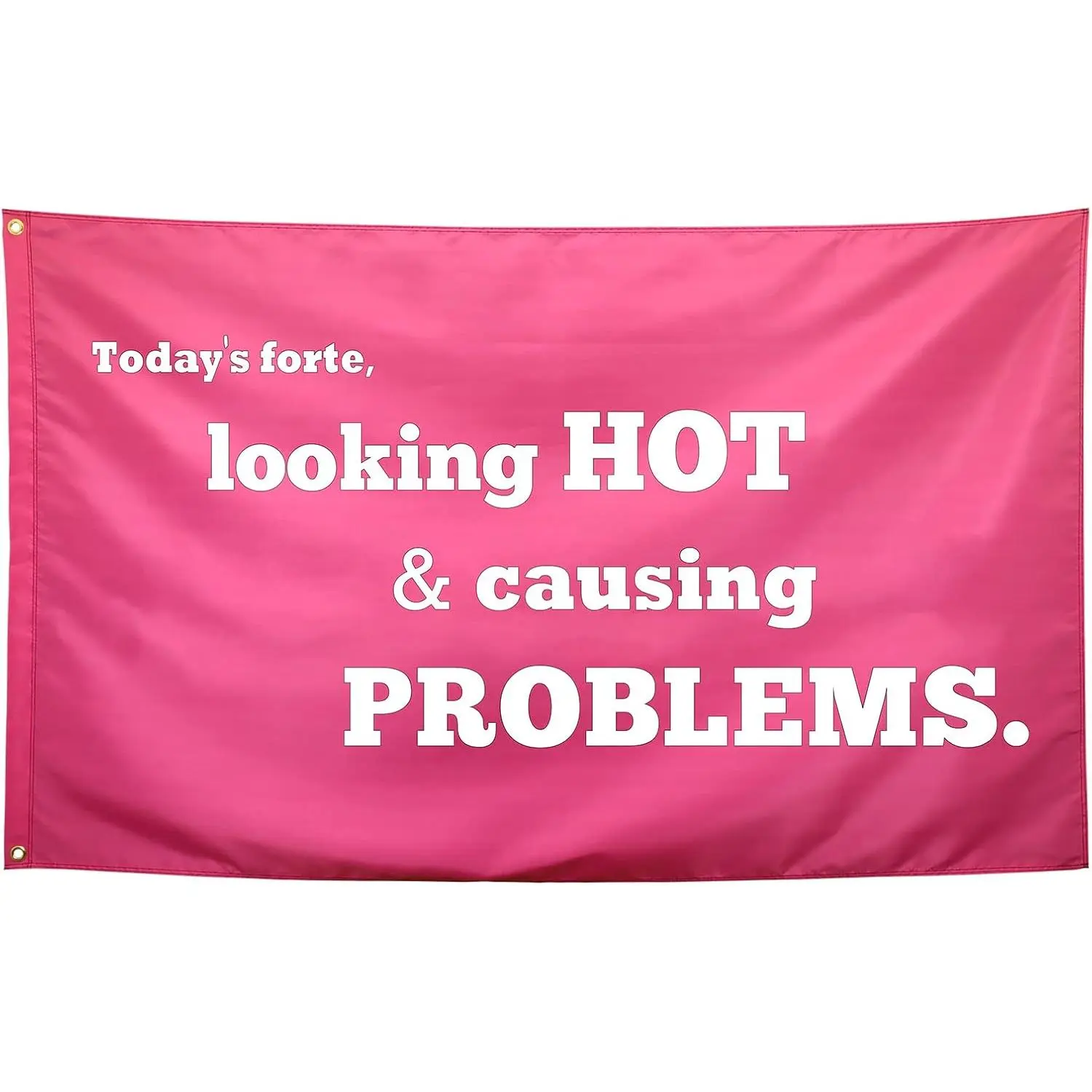 Looking Hot & Causing Problems Flag Pink Funny College Dorm Flags for Girls Cool Girl Flags for Bedroom Room Wall Meme Flags Banner 40x60 IN Indoor Outdoor Garden Home Decoration Decoration Party Decoration Decoration pink bedroom accessories