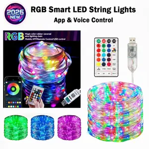 2026 New Sound Control RGB Smart String Lights 65.6ft 20m App Remote Control LED Fairy Lights Waterproof Multi Color USB for Bedroom Outdoor Christmas Wedding Party Decor