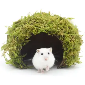 Hamster Hideout - Large, Natural Moss, Handcrafted for Syrian Hamsters, Rats & Guinea Pigs, Safe & Eco-Friendly