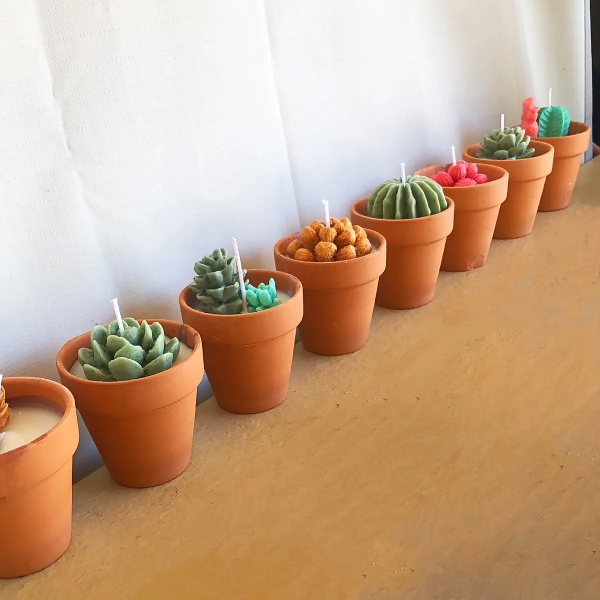 Succulent Candles