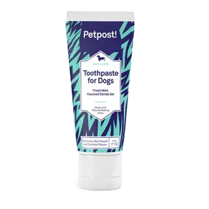 Petpost | Toothpaste for Dogs - Coconut Oil and Baking Soda Based Dental Gel That Naturally Eliminates Bad Breath - Dirt, Gunk, and Tooth Buildup Gone - Mint Flavor 4 oz.