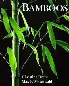 USED-Bamboos by Christine Recht (Hardcover)