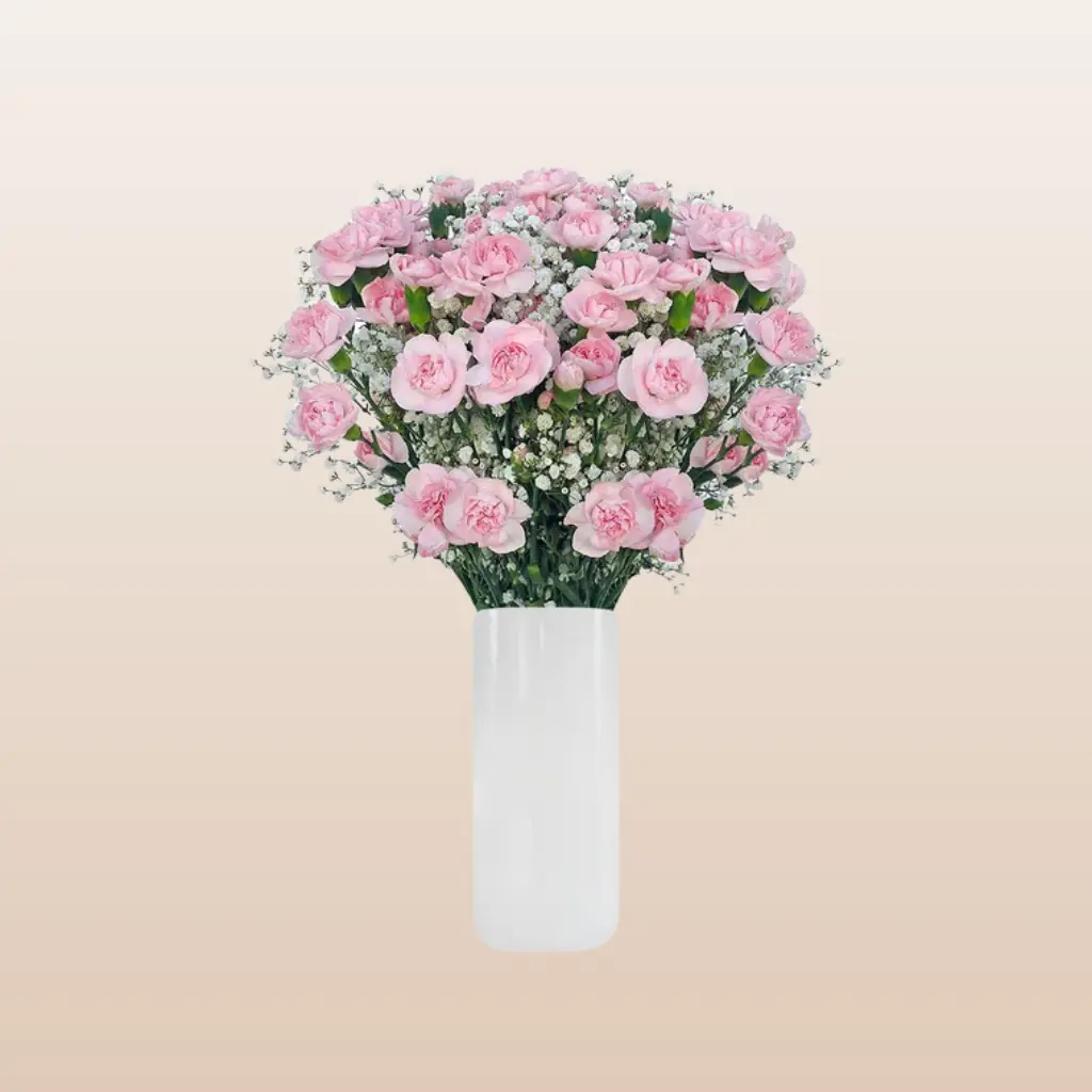 Mini Carnation Light Pink Bqt Bouquet with Gypsophila 6 Bouquets 1 Inch Bloom Width 8 Days Vase Life Value Conscious Romantic Gift