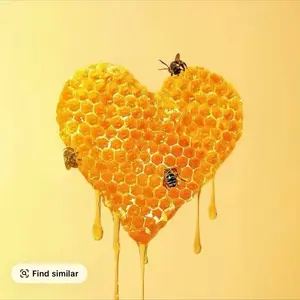 Organic Natural Honey with Bee Pollen & Royal Jelly 12 Single-Serve Sachets 20g per Sachet Sweet Flavor Energy Boost Pure Organic Ginger Healthy