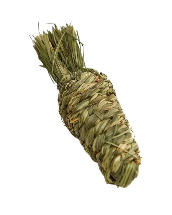 Timothy Carrot