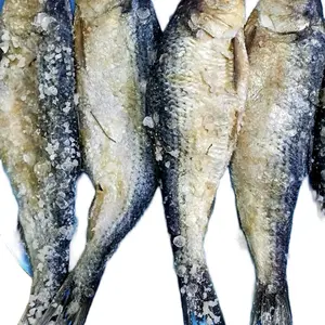 4 pcs Hareng sel ak Tête.