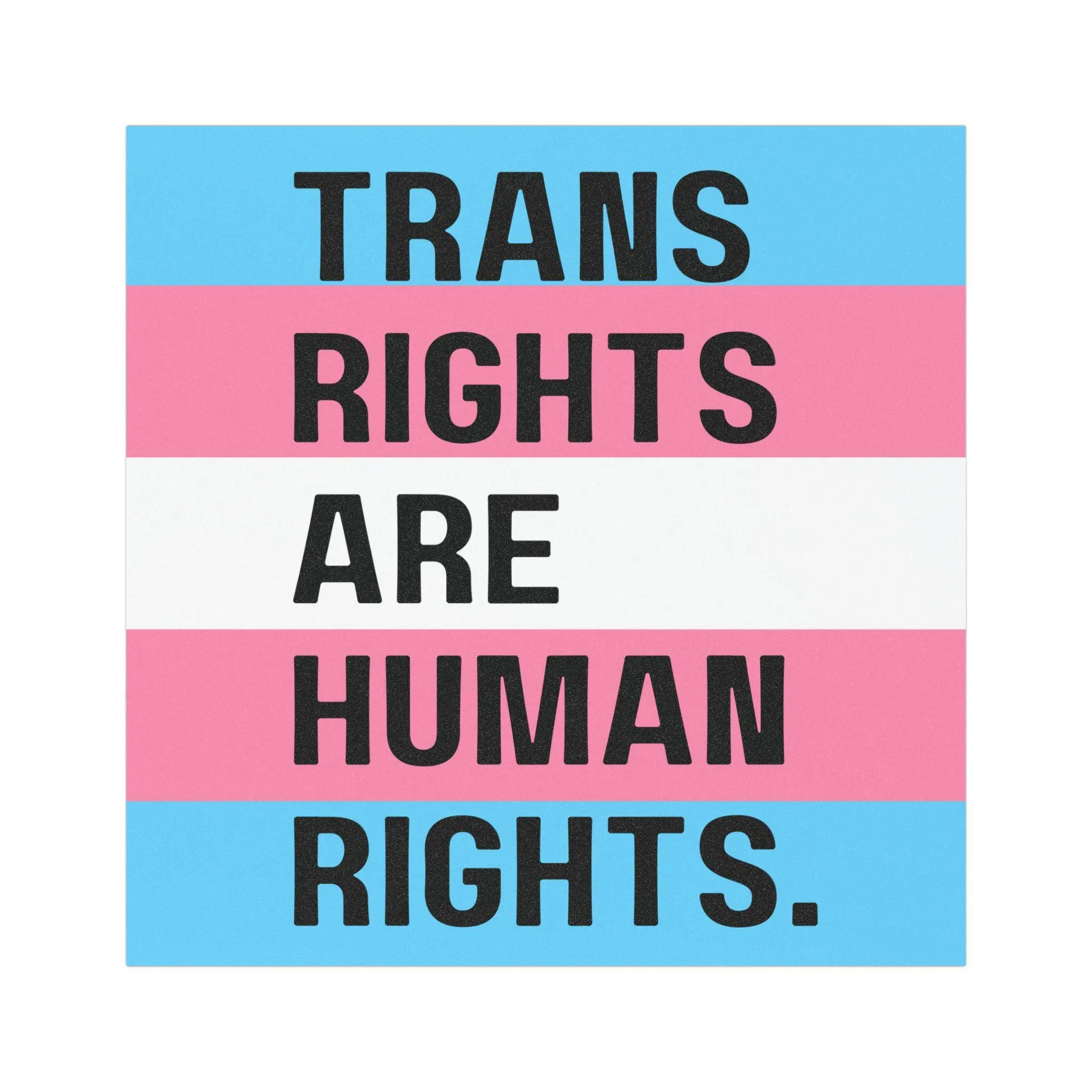Trans Rights Are Human Rights Bumper Sticker Car Magnet