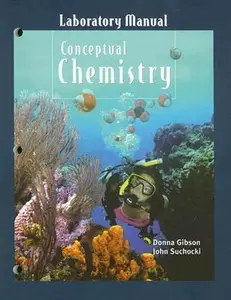 USED-Conceptual Chemistry: Understanding Our Wrold of Atoms and Molecules by John Suchocki (Paperback)