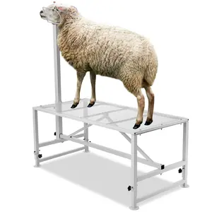 VEVOR Goat & Sheep Stand, TikTokShopBlackFriday, 51x23 inch Livestock Stand, Metal Livestock Milking and Shearing Stand 21" to 33" Adjustable Height, with Headpiece and Nose Loop, 500lbs Loading Weight, White
