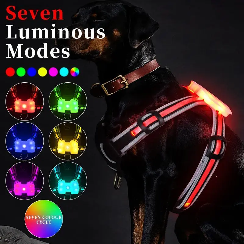 Revolutionary Illuminated and Reflective Harness for Dogs with Multicolored LED Fiber Optics USB Rechargeable Adjustable Lightweight Rainproof Seven Luminous Modes