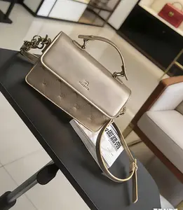 2026 New Light Luxury Versatile Women’s Bag – Niche Design Shoulder/Crossbody Bag