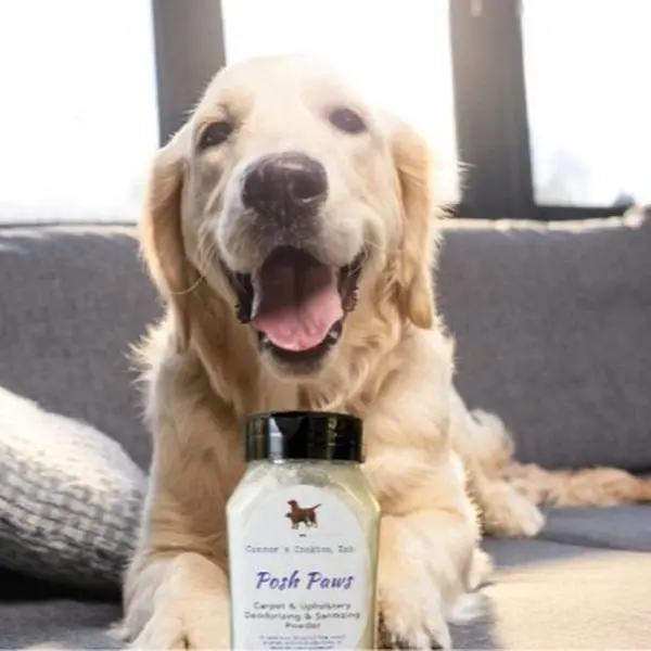 Carpet & Upholstery Deodorizer and Sanitizer Household  Luxe Scented Fragrance Ants Lavender Oil Perfume Aroma Freshener