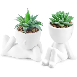 2 Pack Artificial Succulent Plants Small Fake Greenery Potted Decor for Living Room Bathroom Office Home Decoration