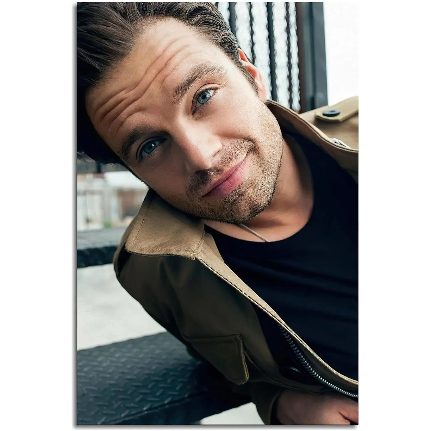 Sebastian Stan Celebrity Actor Star Artistic Canvas Poster Prints - Home Decor Photo Wall Art for Dorm, Office (Home Supplies)