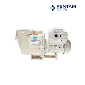 Pentair IntelliFlo VS+SVRS 3 HP VS Pool Pump | EC-011057