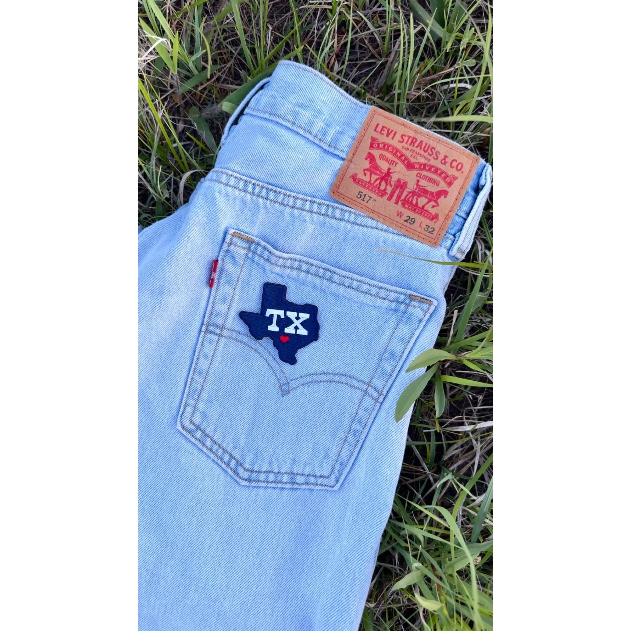 Texas Iron On Patch