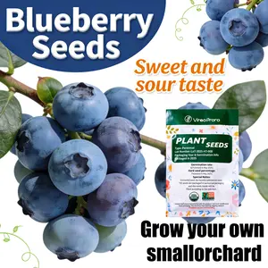 Fruiting Blueberry Plant Seeds – Ideal for Home Gardening, Easy to Grow for Beginners, Suitable for Backyard, Patio, Balcony, or Containers – Sweet Juicy Blueberries