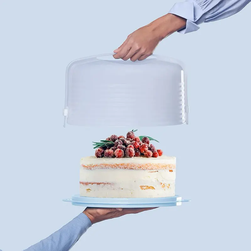 Cake Taker / Round and Rectangular Cupcake / cake