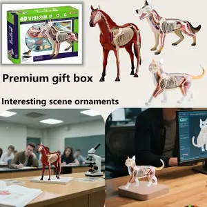 4D Vision Animal Anatomy Model - Detachable Organs & Body Parts Interactive Puzzle for Cats Dogs Horses Llamas Chickens Cows Durable ABS Material Educational Hobbyist Kit