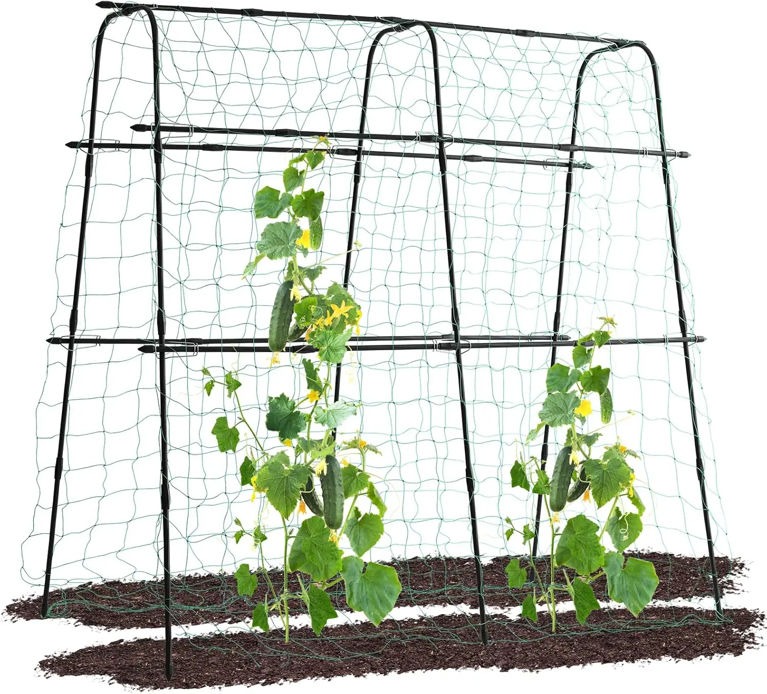 5.3ft Metal Arch Garden Trellis with Netting – Sturdy Support for Climbing Cucumbers, Peas & Vines
