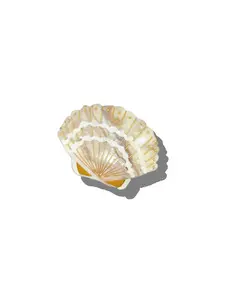 Seashell Claw Hair Clip - Golden Sand