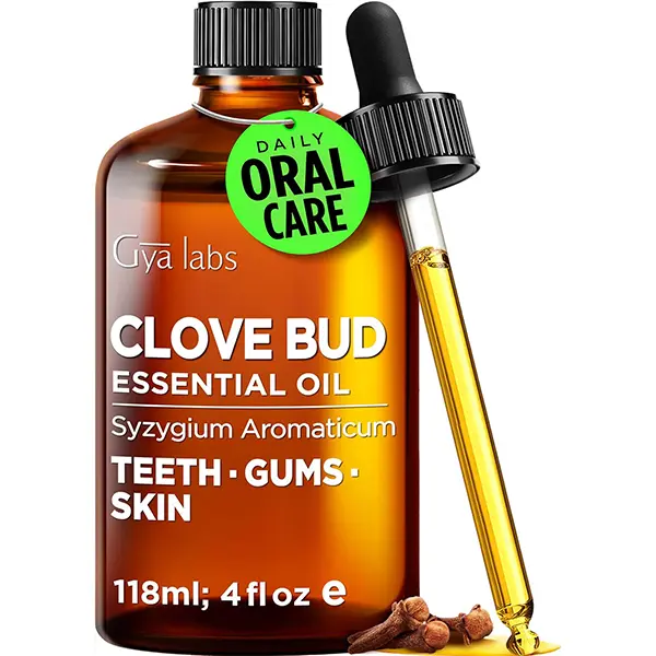 Gya Labs Clove Essential Oil - 4 Fl Oz