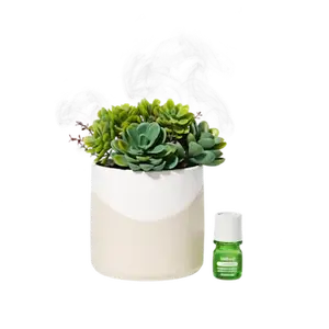 Lifelines Plant Diffuser | Succulent Two Toned
