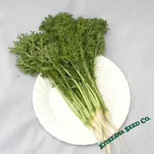 Mustard Seeds - Golden Frill