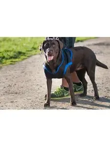 Walkabout Front End Harness