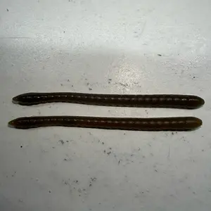 Green pumpkin finesse worms 6pk