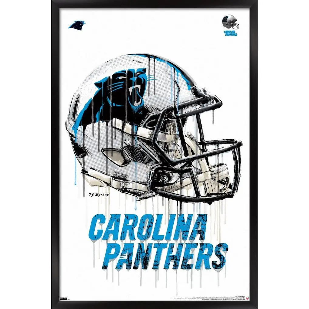Carolina Panthers Helmet Poster