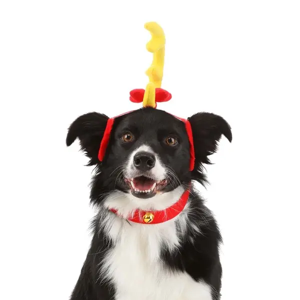 Grinch Max Dog Costume