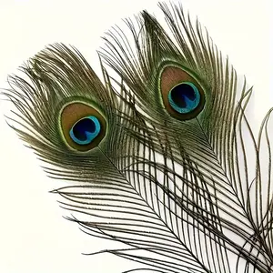 Peacock Feathers - Blue Green Gold & Black for Hats - 1 Feather Included - Perfect for Hat Bar Accessories Decorative
