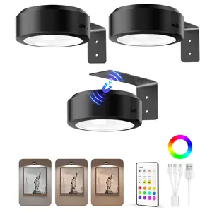 EZVALO Picture Lights for Wall,14 Color(3 Color Temps&12 RGB),2000mAh Rechargeable Battery Magnetic Poster Lights with 2 Color Temps&12 RGB,Remote Dimmable Timer Painting Light,Wall Decor Light for Art Display,Frame