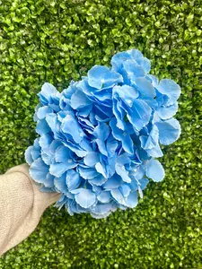 18 Inch Light Blue Southern Hydrangea Bush