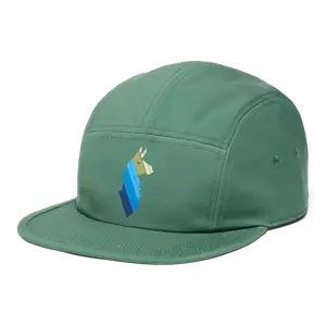 Llama Stripes 5-Panel Hat
