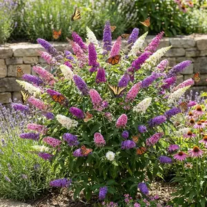 200 Pcs Bulk Butterfly Bush Flower Seeds, Non-GMO Perennial Outdoor Plant Seeds for Garden Home Ornamental Use, Eustoma Cut Flower Seeds for Planting, Bulk Flower Seeds